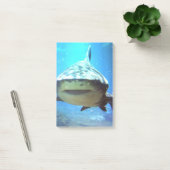 shark-5.jpg post-it® notes (Kantoor)