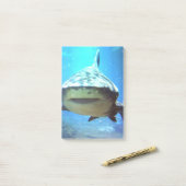 shark-5.jpg post-it® notes (Op bureau)
