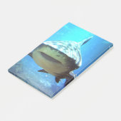 shark-5.jpg post-it® notes (Schuin)