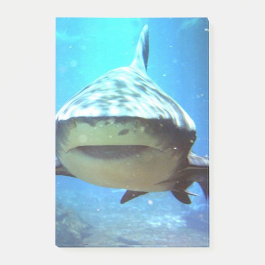 shark-5.jpg post-it® notes (Voorkant)