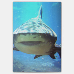 shark-5.jpg post-it® notes
