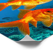 Shark among gold fishes poster (Hoek)