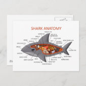 Shark Anatomy Briefkaart (Voorkant / Achterkant)