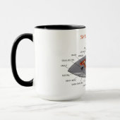 Shark Anatomy Mok (Links)