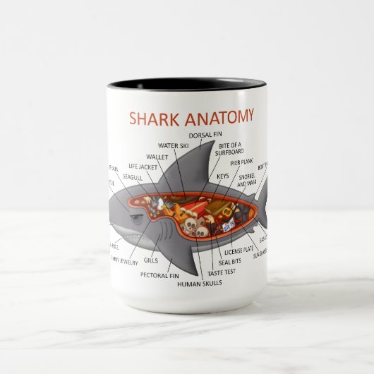 Shark Anatomy Mok (Midden)