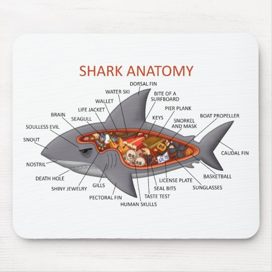 Shark Anatomy Muismat (Voorkant)