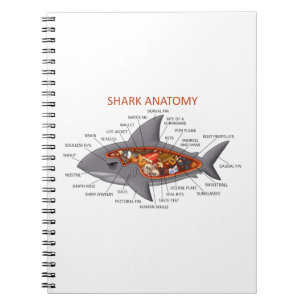 Shark Anatomy Notitieboek