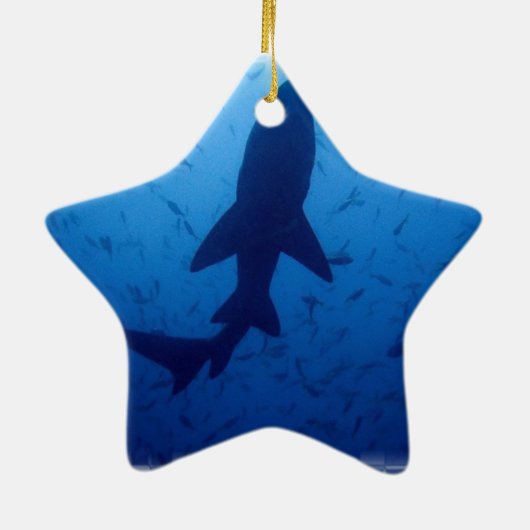 Shark Attack Ornament (Achterkant)