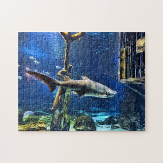 Shark Bait Legpuzzel (Horizontaal)