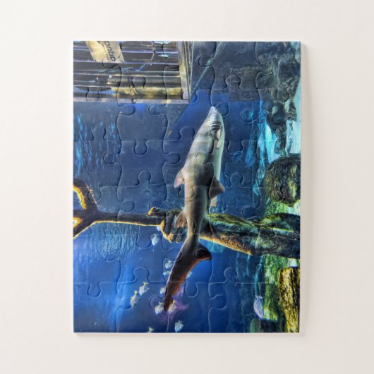 Shark Cage Legpuzzel (Verticaal)