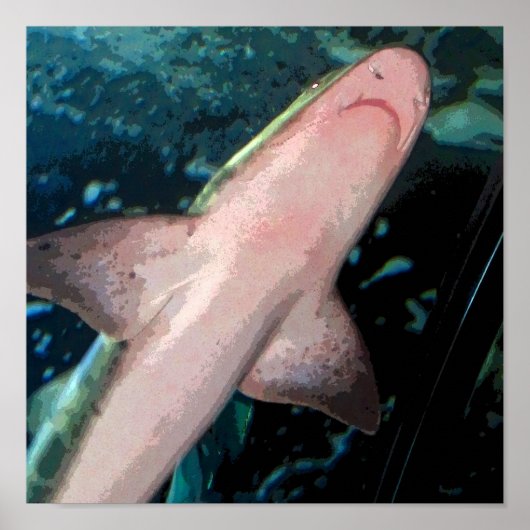 Shark CB Poster (Voorkant)