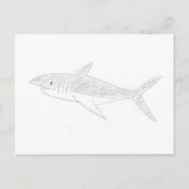 Shark Drawing Briefkaart (Voorkant)