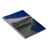 Shark Face Notitieboek (Rechterzijde)