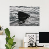 Shark Fin Poster (Thuiskantoor)
