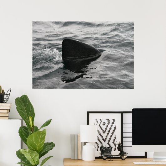 Shark Fin Poster (Thuiskantoor)