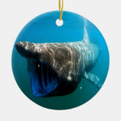Shark Fish Ocean Tropical Ocean Destiny Gifts Keramisch Ornament (Voorkant)