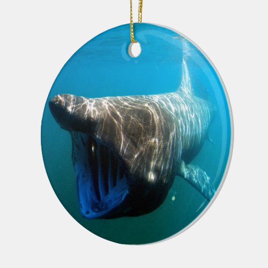 Shark Fish Ocean Tropical Ocean Destiny Gifts Keramisch Ornament (Links)