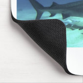 Shark Fish Ocean Tropical Ocean Destiny Gifts Muismat (Hoek)