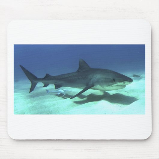 Shark Fish Ocean Tropical Ocean Destiny Gifts Muismat (Voorkant)