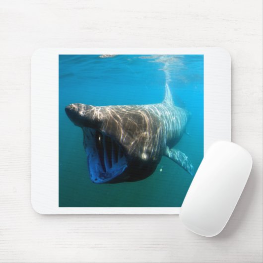 Shark Fish Ocean Tropical Ocean Destiny Gifts Muismat (Met muis)