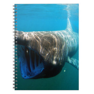 Shark Fish Ocean Tropical Ocean Destiny Gifts Notitieboek