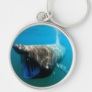 Shark Fish Ocean Tropical Ocean Destiny Gifts Sleutelhanger
