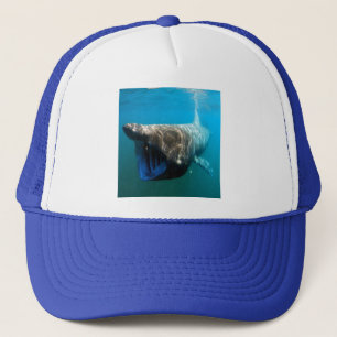 Shark Fish Ocean Tropical Ocean Destiny Gifts Trucker Pet