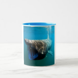 Shark Fish Ocean Tropical Ocean Destiny Gifts Tweekleurige Koffiemok