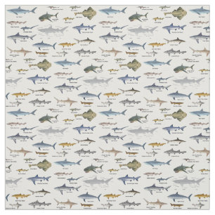 Shark Identification-kaarten met label Stof