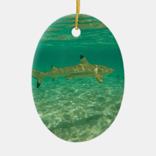 Shark in bora bora bora keramisch ornament (Voorkant)