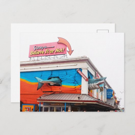 Shark in Ocean City, Maryland, VS Feestdagenkaart (Voorkant / Achterkant)