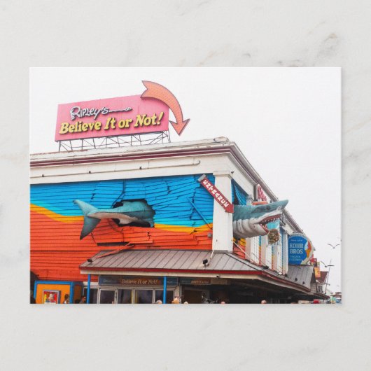 Shark in Ocean City, Maryland, VS Feestdagenkaart (Voorkant)