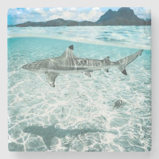 Shark in the Waters Stenen Onderzetter (Voorkant)