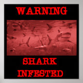 SHARK INFESTED POSTER (Voorkant)