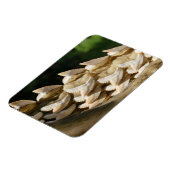 Shark Jawbone en Teeth Magneet (Linkerzijde)