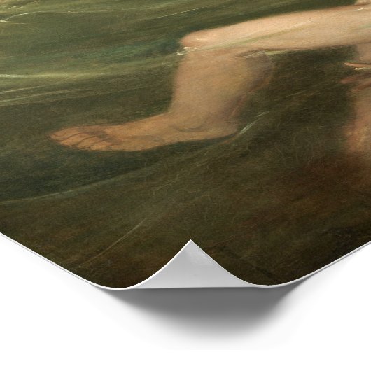 Shark - John Singleton Copley Fine Art Poster (Hoek)