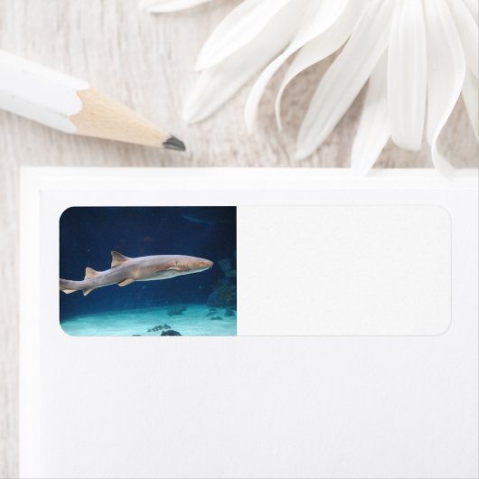 Shark Label (Insitu)