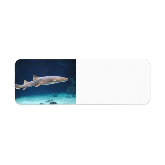 Shark Label (Voorkant)