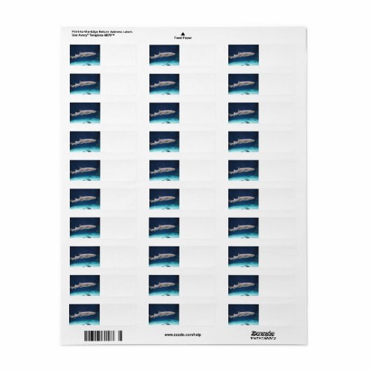 Shark Label (Full Sheet)