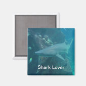 Shark Magnet (Voorkant / Achterkant)