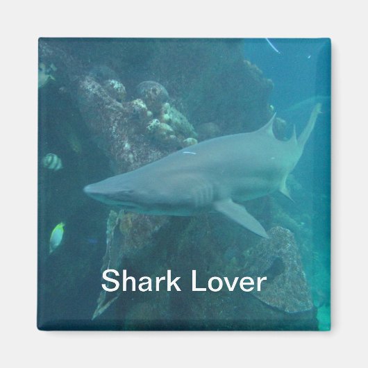 Shark Magnet (Voorkant)
