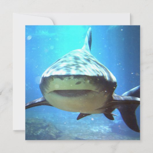 Shark Photo Invitation Kaart (Voorkant)