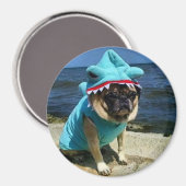 Shark Pug Magnet (Voorkant / Achterkant)