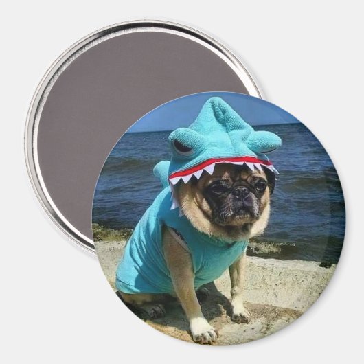 Shark Pug Magnet (Voorkant / Achterkant)