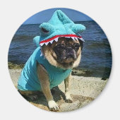 Shark Pug Magnet (Voorkant)