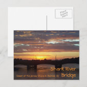 Shark River Bridge Briefkaart (Voorkant / Achterkant)