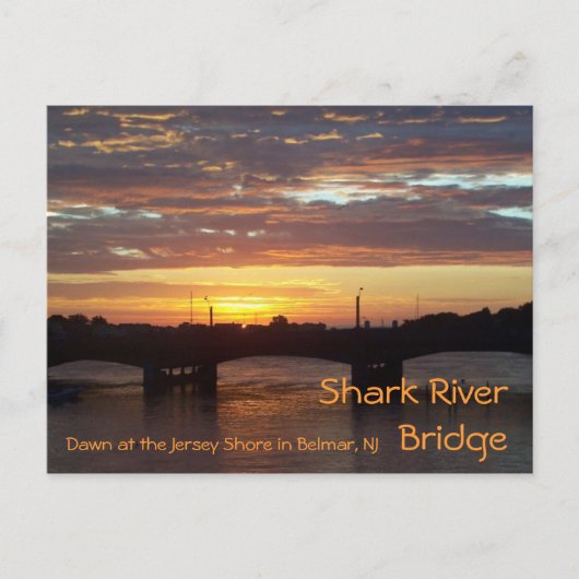 Shark River Bridge Briefkaart (Voorkant)