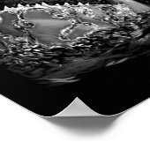 Shark Scary Shark Poster (Hoek)