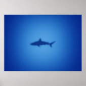 Shark silhouet poster (Voorkant)