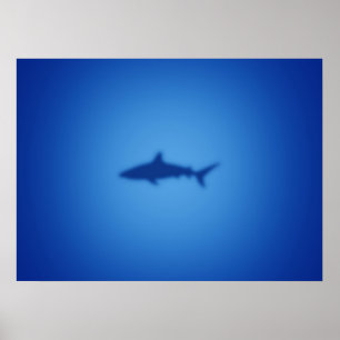 Shark silhouet poster